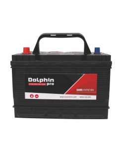 Batteries mixtes 'Pro' Dolphin